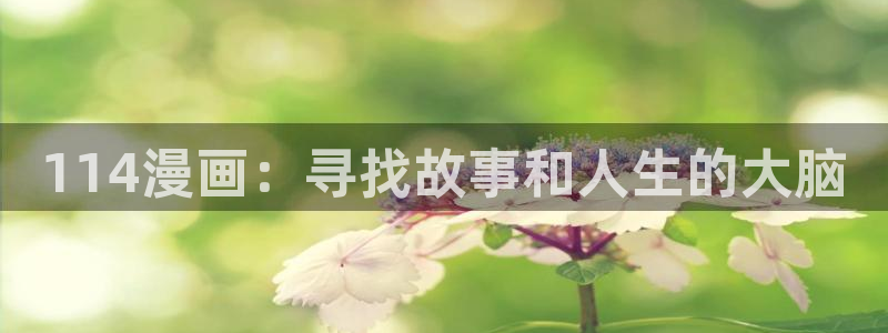 奇漫屋画免费漫画：114漫画：寻找故事和人生的大脑