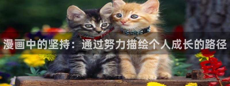 奇漫屋漫画免费入口：漫画中的坚持：通过努力描绘个人成长的路径